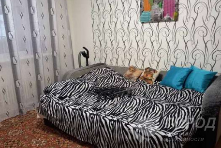 Сдам 1-кімнатну квартиру, Салтовка, Код: 685819/3