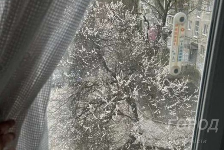 Сдам 1-кімнатну квартиру, Салтовка, Героев Труда метро, Код: 691738/4