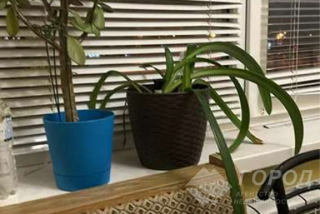 Сдам 1-кімнатну квартиру, Салтовка, Академика Павлова метро, Код: 691738/5