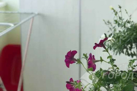 Сдам 2-х кімнатну квартиру в новобудові, Алексеевка, Победа метро, Код: 692238/4