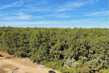 Продам 1-кімнатну квартиру в новобудові, Алексеевка, Код: 696449/2