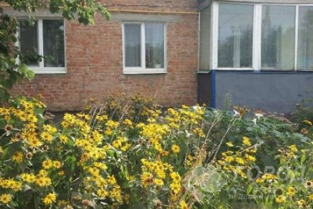 Продам 3-х кімнатну квартиру, Песочин, Надия, Код: 699190/1