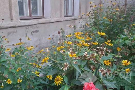 Продам 1-кімнатну квартиру, Центральный рынок, Код: 699710/4