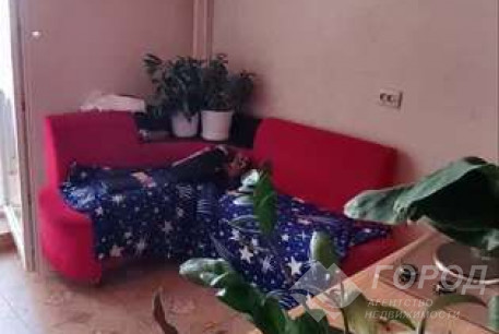 Сдам 2-х кімнатну квартиру в новобудові, Новые дома, Код: 701072/4