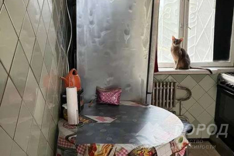 Сдам 2-х кімнатну квартиру, Салтовка, Академика Барабашова метро, Код: 701642/1