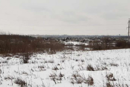 Продам участок, Даниловка Большая, , Код: 702666/1