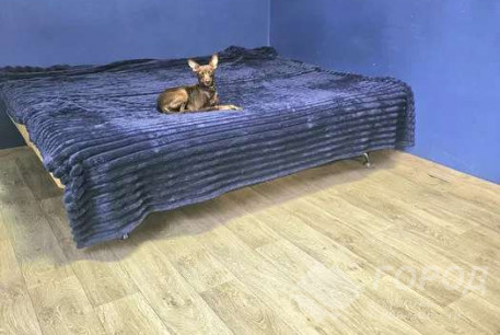 Сдам 2-х кімнатну квартиру, Гагарина проспект, Защитников Украины метро (Площадь Восстания), Код: 704072/1