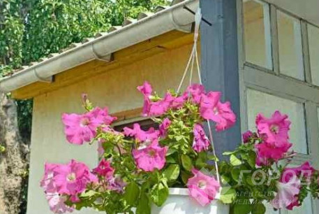 Продам дом, Харьковский р-н, Хорошево (Харьковский р-н), Код: 704840/105