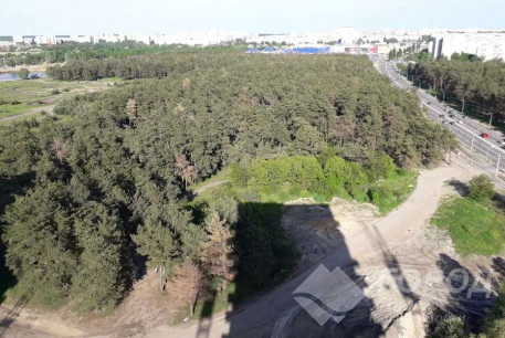 Продам 3-х кімнатну квартиру в новобудові, Салтовка, Код: 706656/2