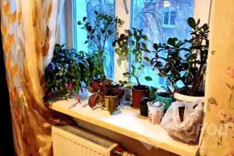 Продам 3-х кімнатну квартиру, Харьковский р-н, Покотиловка, Код: 723114/6