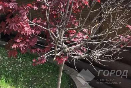 Продам дом, Холодная Гора, , Код: 728904/2