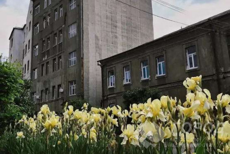 Сдам гостинку, Центр, Архитектора Бекетова метро, Код: 732762/5