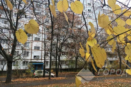 Продам 3-х кімнатну квартиру, Салтовка, Код: 733184/8