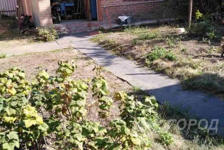 Продам полдома, Салтовка, Льва Ландау просп. (Салтовка), Код: 735859/2