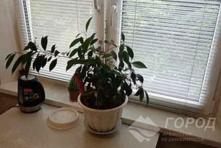 Сдам 1-кімнатну квартиру, Салтовка, Код: 739644/1