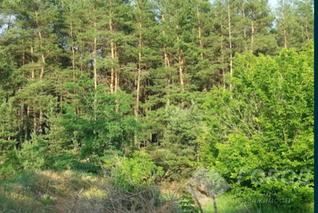 Продам участок, Основа, , Код: 744977/3