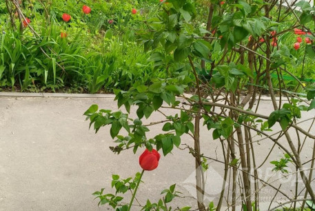 Продам 3-х кімнатну квартиру, Жуковского, Код: 752912/5