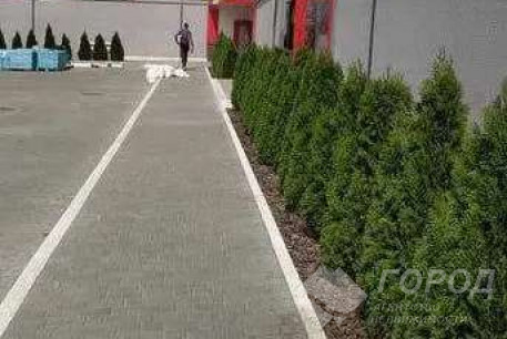 Сдам гостинку, Салтовка, Академика Павлова метро, Код: 753291/3