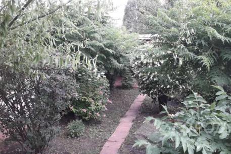 Продам дом, Рогань, Роганский ж/м, Горловская ул., Код: 754415/1