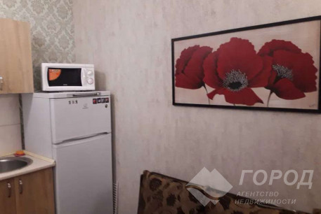 Сдам гостинку, Сосновая Горка, Научная метро, Код: 759472/2