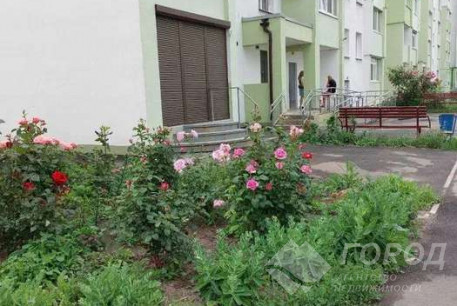 Сдам 1-кімнатну квартиру, ХТЗ, Пролетарская метро (Индустриальная), Код: 765039/4