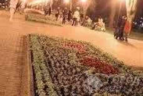 Продам 1-кімнатну квартиру, Новые дома, Код: 767365/3