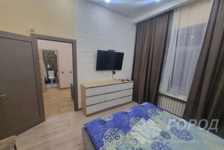 Сдам 1-кімнатну квартиру, Центр, Пушкинская метро, Код: 768453/4