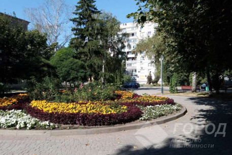 Сдам 3-х кімнатну квартиру, Пятихатки, Код: 773395/2