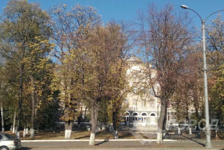 Сдам 1-кімнатну квартиру в новобудові, Салтовский, Код: 773672/1