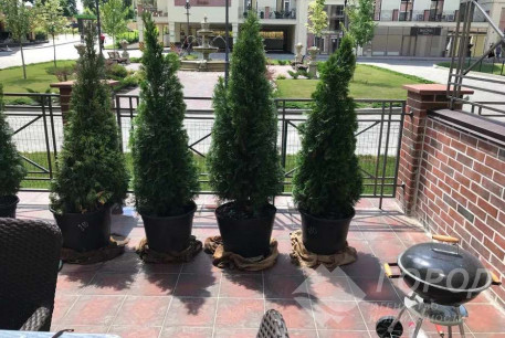 Продам 3-х кімнатну квартиру в новобудові, Павлово поле, Сокольники, Код: 776047/4