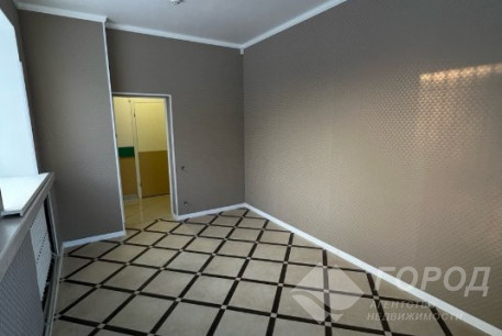 Продам помещение, Центр, Пушкинская метро, Чайковская ул., Код: 776512/31