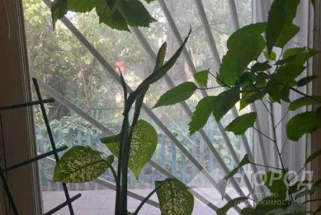 Продам 2-х кімнатну квартиру, Центральный рынок, Центральный Рынок метро, Код: 777445/1