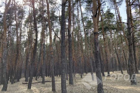 Продам 1-кімнатну квартиру, Холодная Гора, Холодная Гора метро, Код: 779331/3