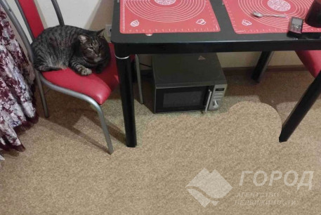 Сдам 1-кімнатну квартиру, Холодная Гора, Код: 782841/3