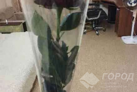 Сдам 1-кімнатну квартиру, Холодная Гора, Код: 782841/3