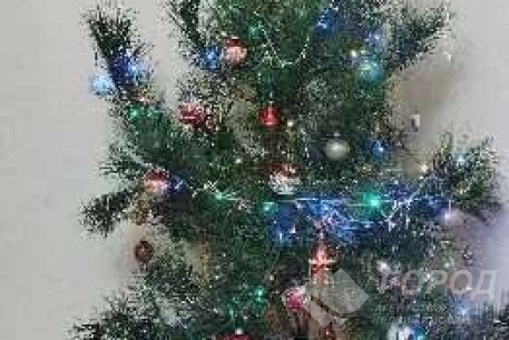 Сдам 1-кімнатну квартиру, Холодная Гора, Код: 782841/3