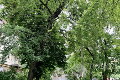 Продам 2-х кімнатну квартиру, Гагарина проспект, Спортивная метро, Код: 783007/1