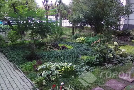 Продам 2-х кімнатну квартиру, Центр, Код: 790730/1