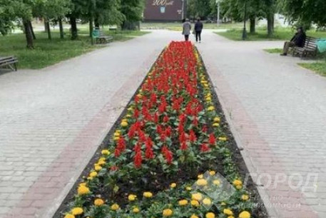 Продам 2-х кімнатну квартиру, Новые дома, Код: 790812/1