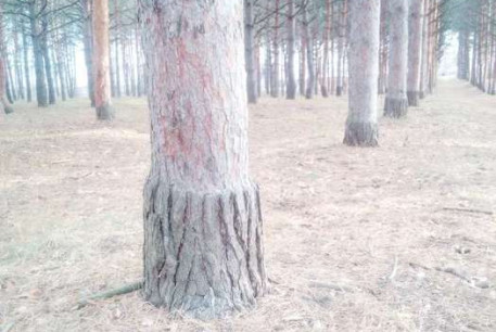 Продам 3-х кімнатну квартиру, Рогань, Докучаевское, Код: 794569/1