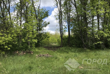 Продам участок, Даниловка Большая, , Код: 796370/1