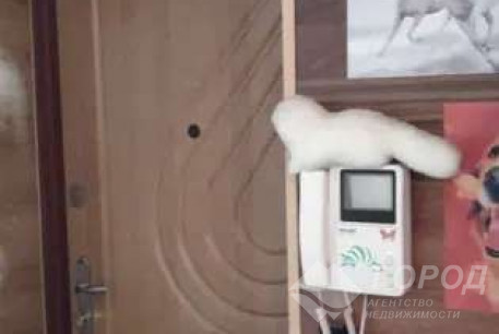 Продам 2-х кімнатну квартиру, Холодная Гора, Холодная Гора метро, Код: 796499/1