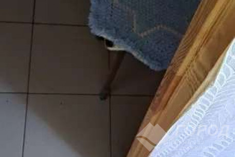 Сдам гостинку, Холодная Гора, Код: 796534/2