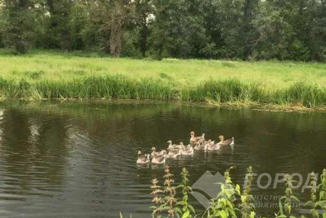 Продам дом, Основа, , Код: 796603/1