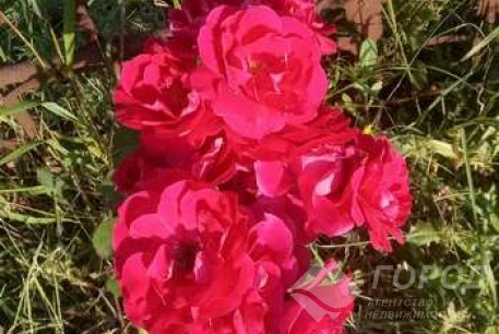 Продам участок, ХТЗ, , Код: 796612/1