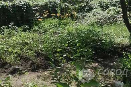 Продам дом, Новые дома, Суворова ул. (Новые дома), Код: 796615/1