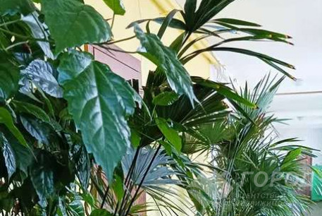 Продам 2-х кімнатну квартиру, Сосновая Горка, Научная метро, Код: 796719/3