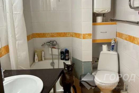 Сдам 3-х кімнатну квартиру, Павлово поле, Код: 797082/1