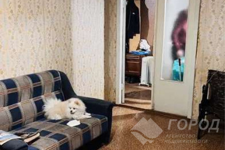 Продам 1-кімнатну квартиру, Залютино, Код: 797137/1