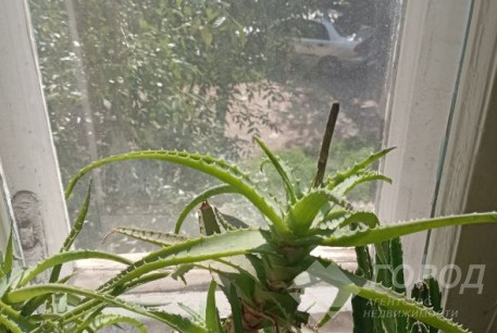 Продам 2-х кімнатну квартиру, Рогань, Восточный, Код: 797200/2